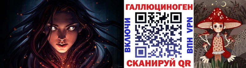 мега маркетплейс  Закаменск  Псилоцибиновые грибы Psilocybine cubensis 